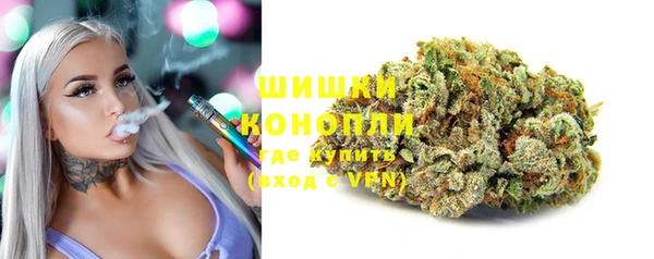 прущие грибы Покровск