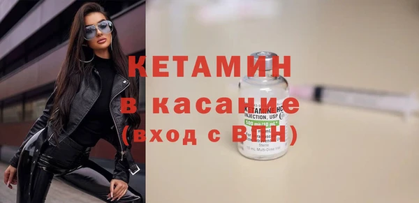 прущие грибы Покровск