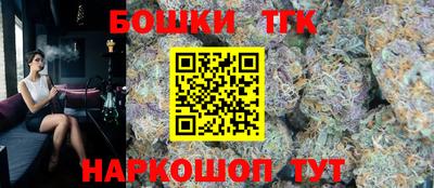 прущие грибы Апшеронск