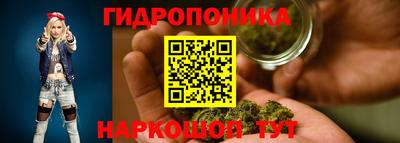 прущие грибы Апшеронск