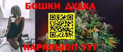 прущие грибы Апшеронск