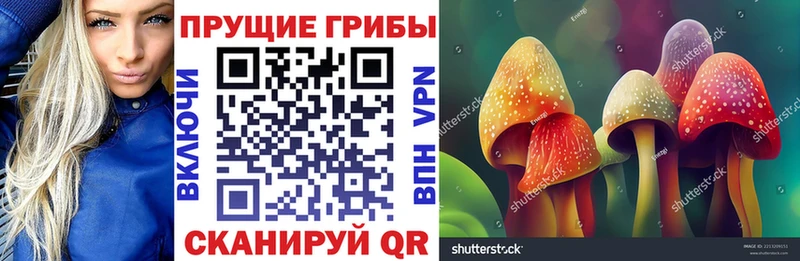 МЕГА онион  закладка  Белогорск  Псилоцибиновые грибы Cubensis 