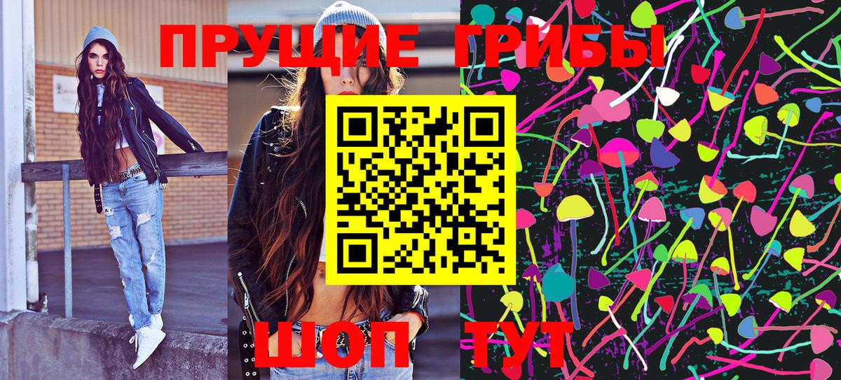 Псилоцибиновые грибы Psilocybine cubensis  Белогорск 