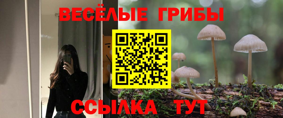 Псилоцибиновые грибы Cubensis Белогорск